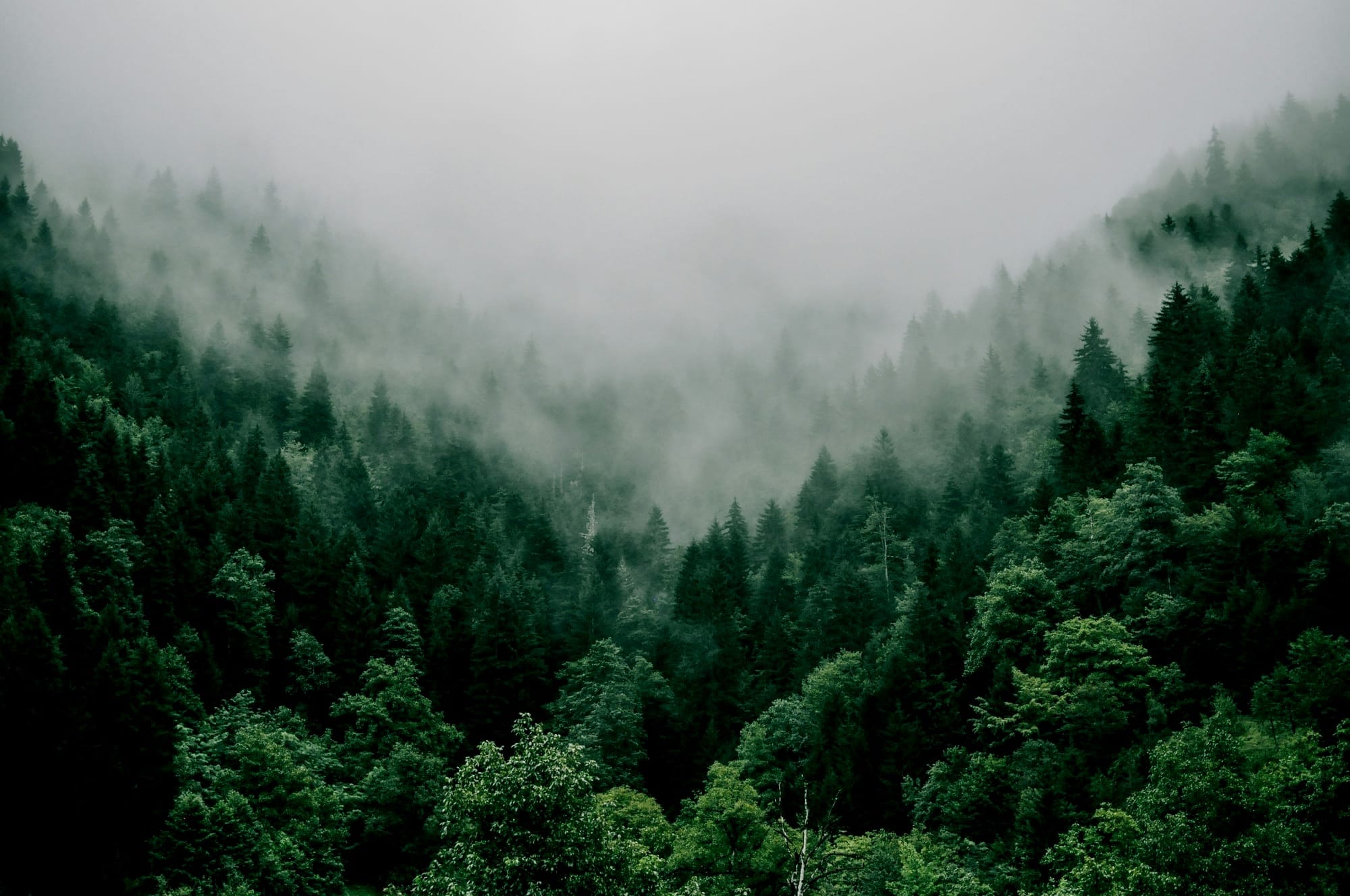 The resale revolution: how repair and reuse became a brand advantage